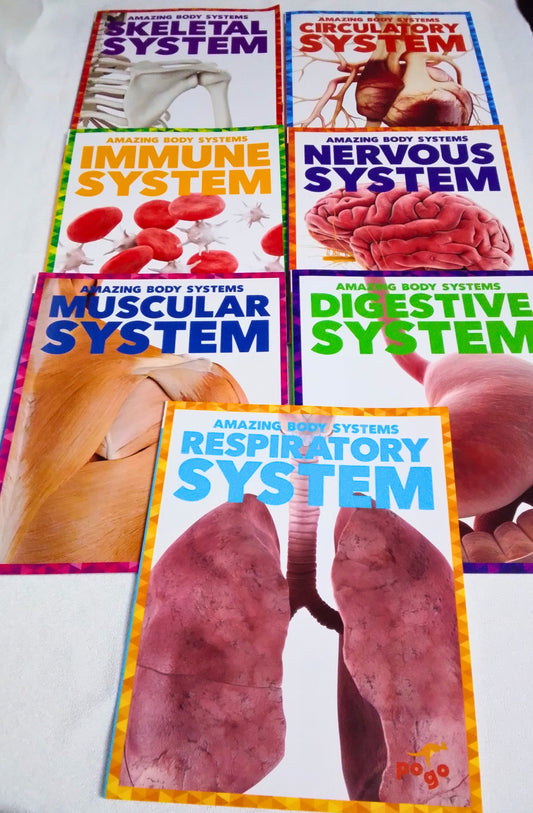 Set of educational posters about the human body systems on a white background
