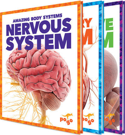 Amazing Body Systems