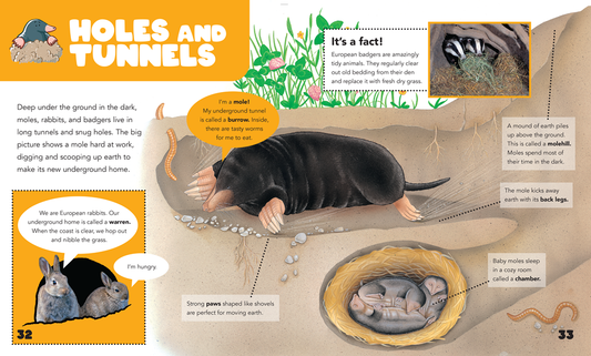 Educational illustration about moles, rabbits, and badgers living in tunnels and holes.