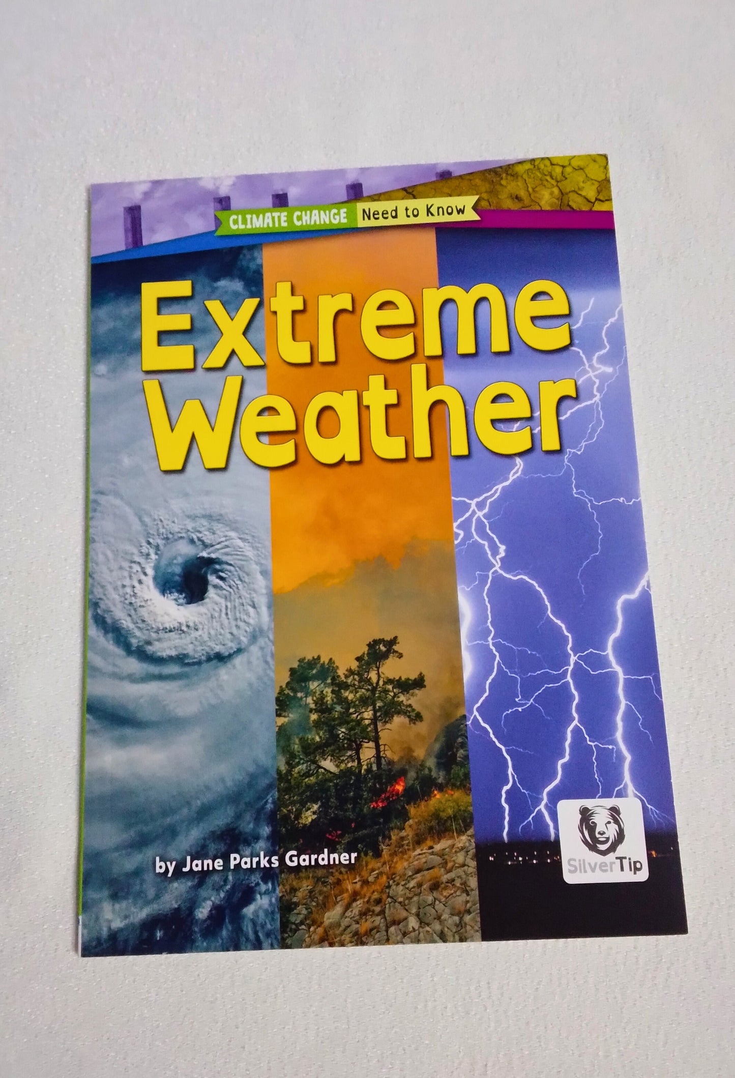 Book cover of 'Extreme Weather' by Jane Parks Gardner on a white background