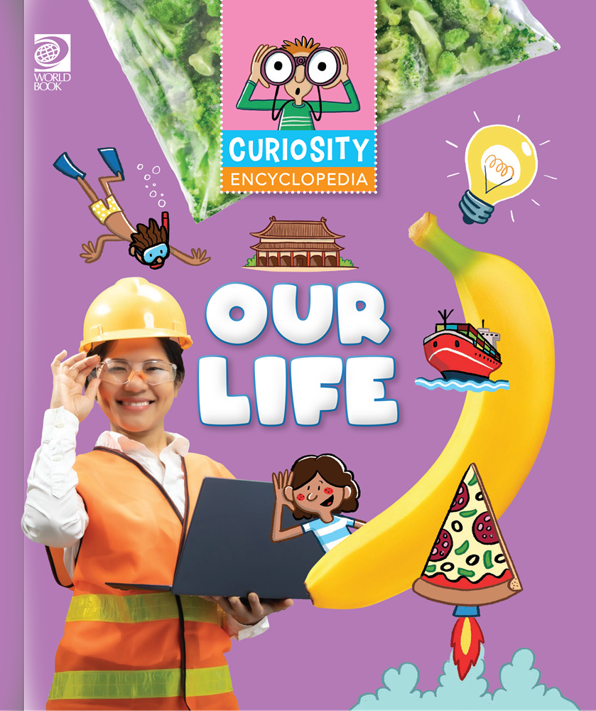 Book cover of 'Curiosity Encyclopedia: Our Life' with colorful illustrations and a purple background.