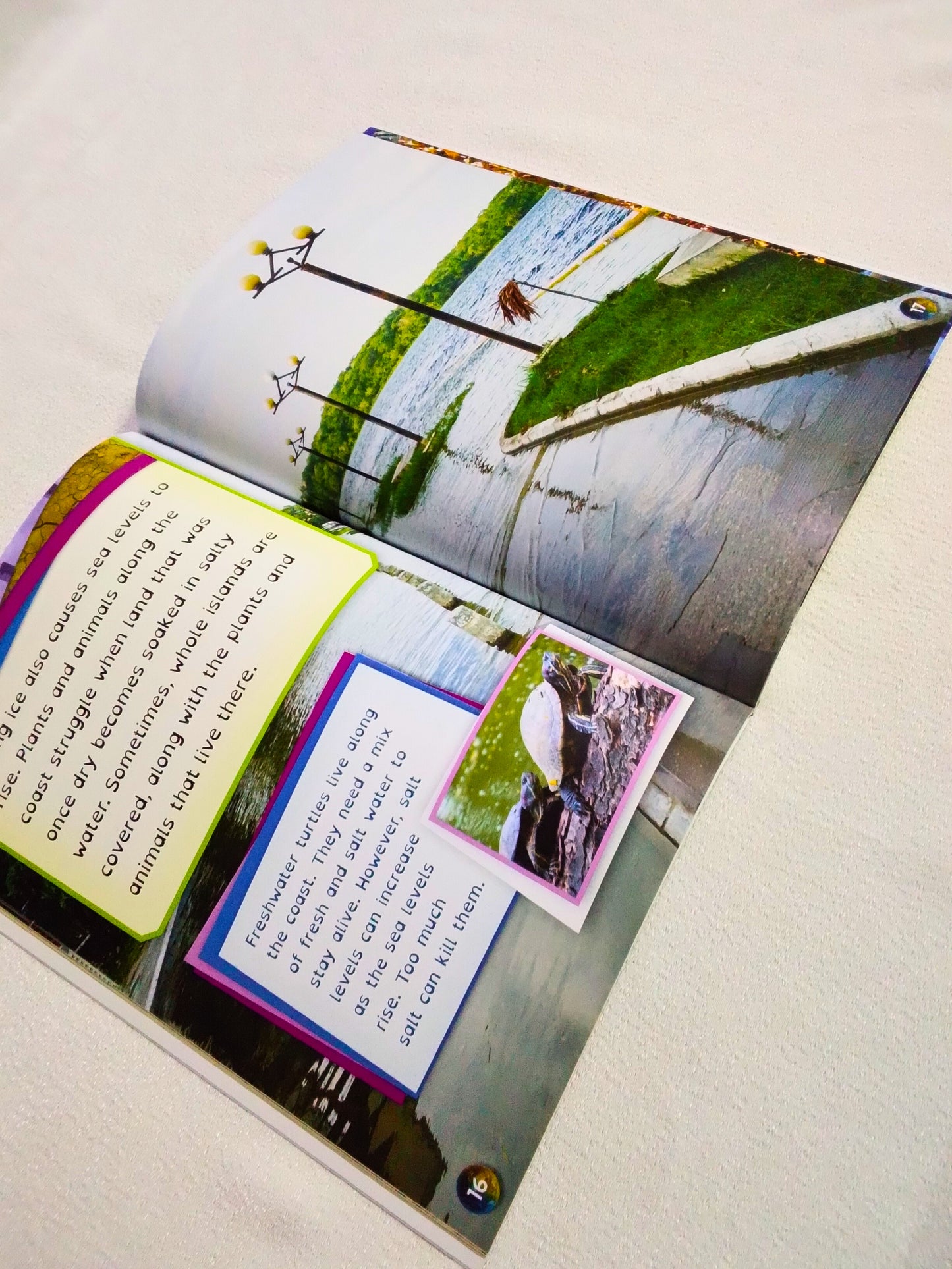 Open book with nature-themed illustrations and text on a light background