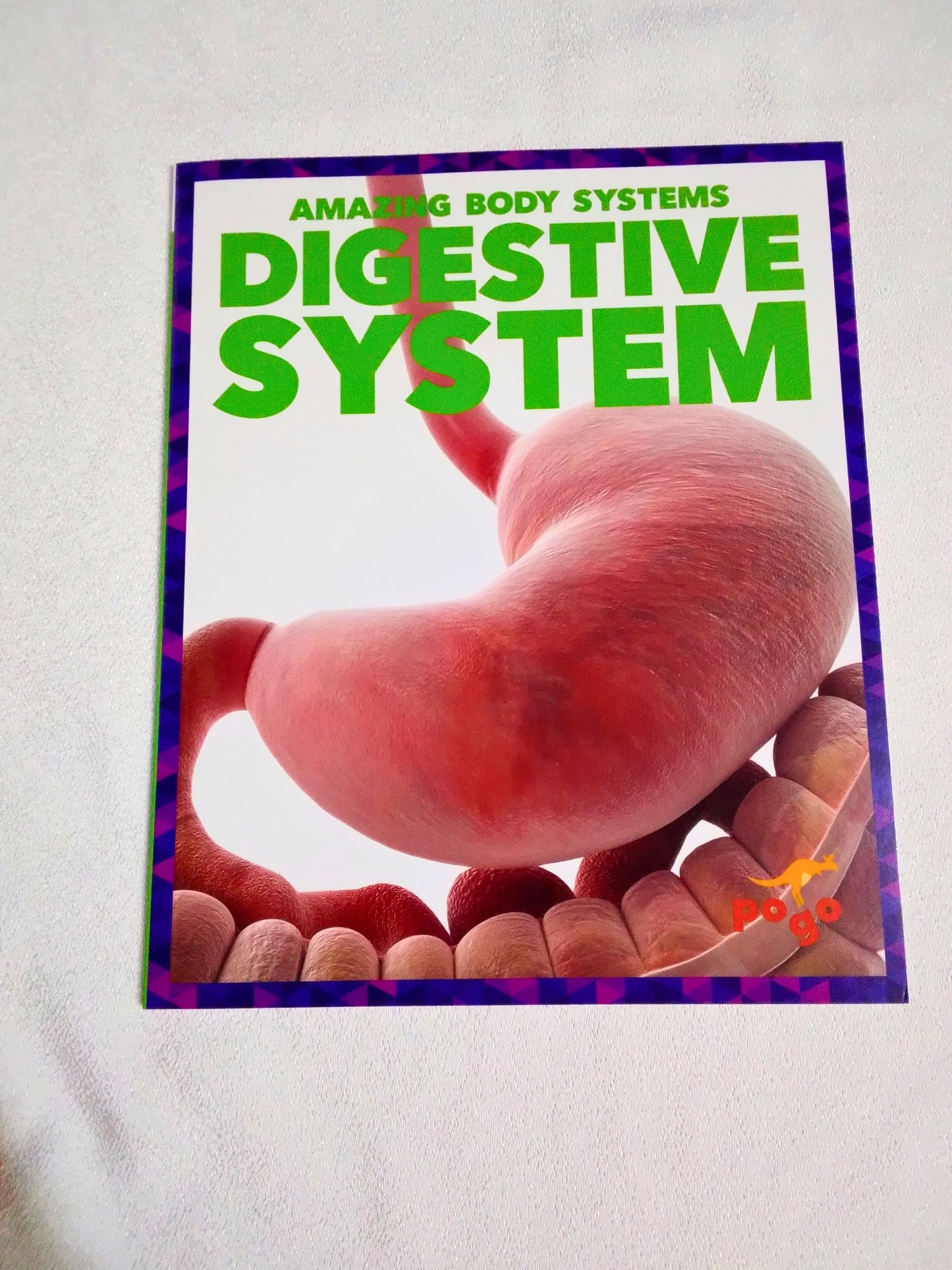 Amazing Body Systems