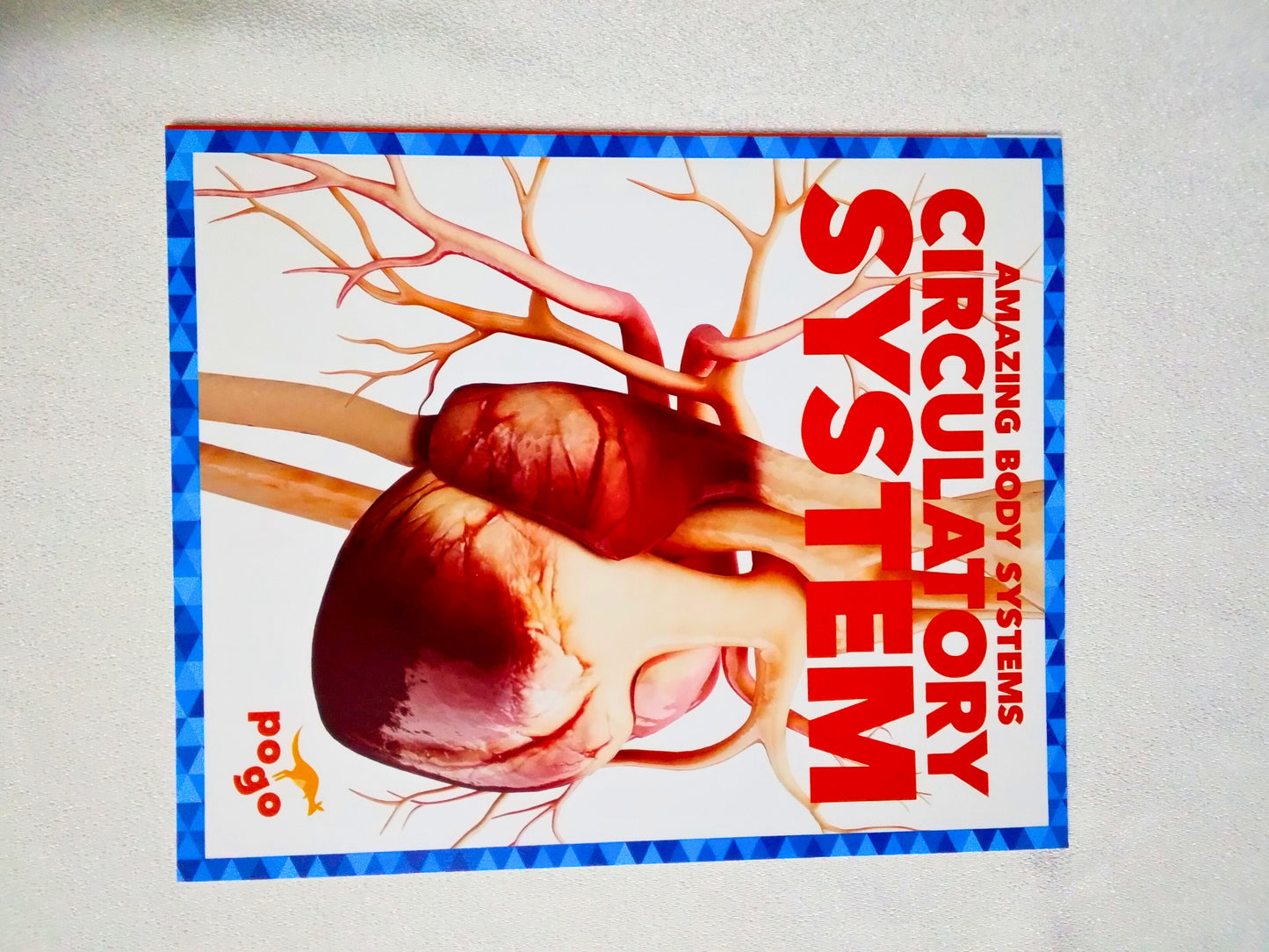 Amazing Body Systems