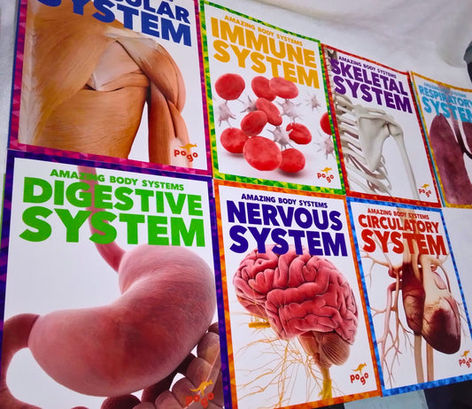 Educational posters about the human body systems on a white background