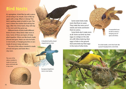 Book page about bird nests with illustrations and text.