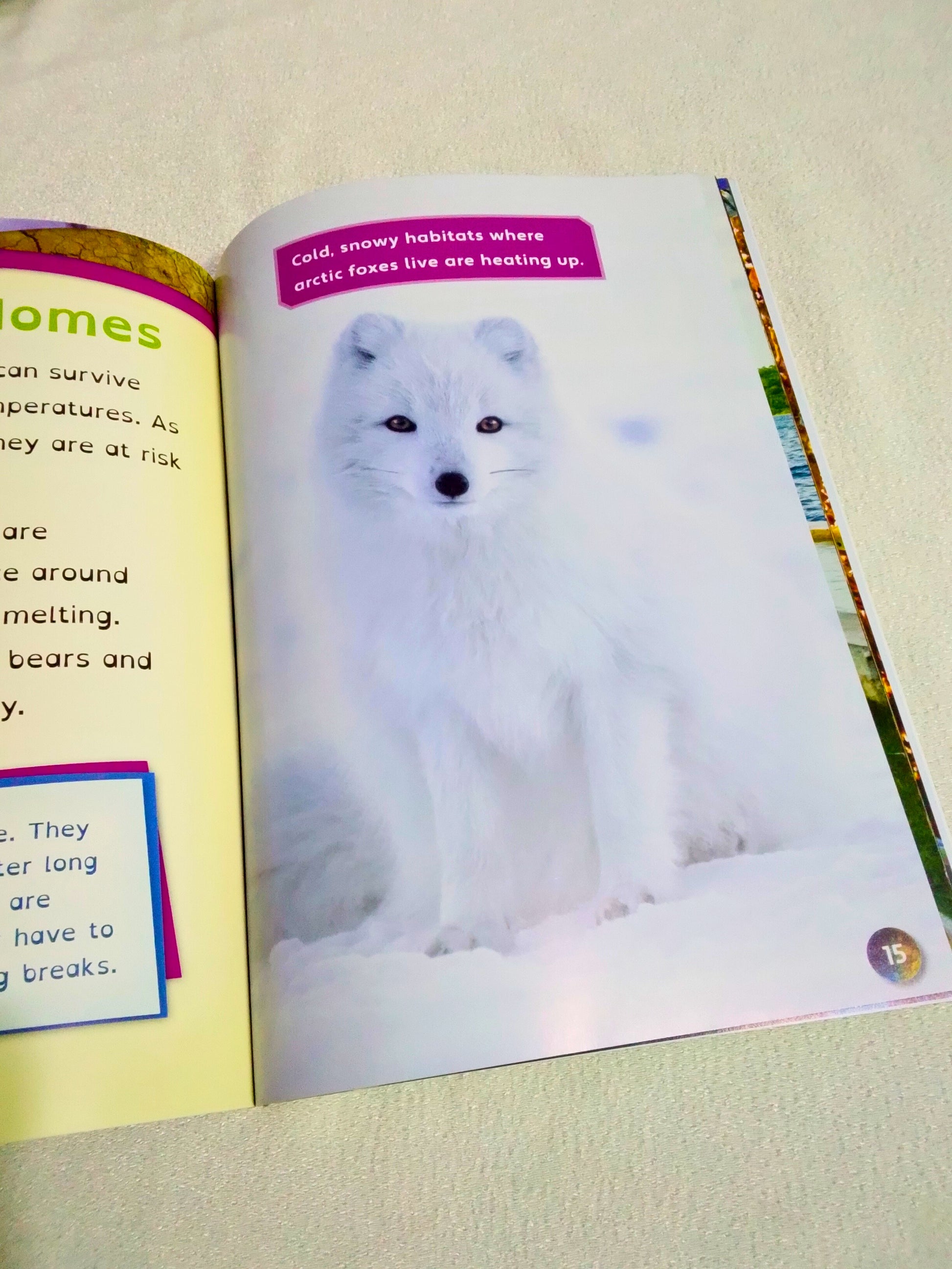 Book open to a page with an illustration of an arctic fox on a white background