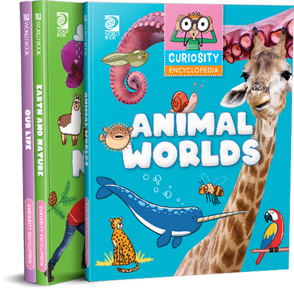 Two children's books on a white background, one titled 'Curiosity Encyclopedia' with animal illustrations and the other partially visible.