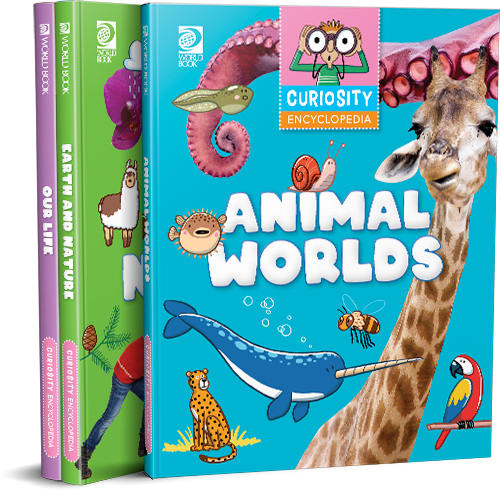 Two children's books on a white background, one titled 'Curiosity Encyclopedia' with animal illustrations and the other partially visible.