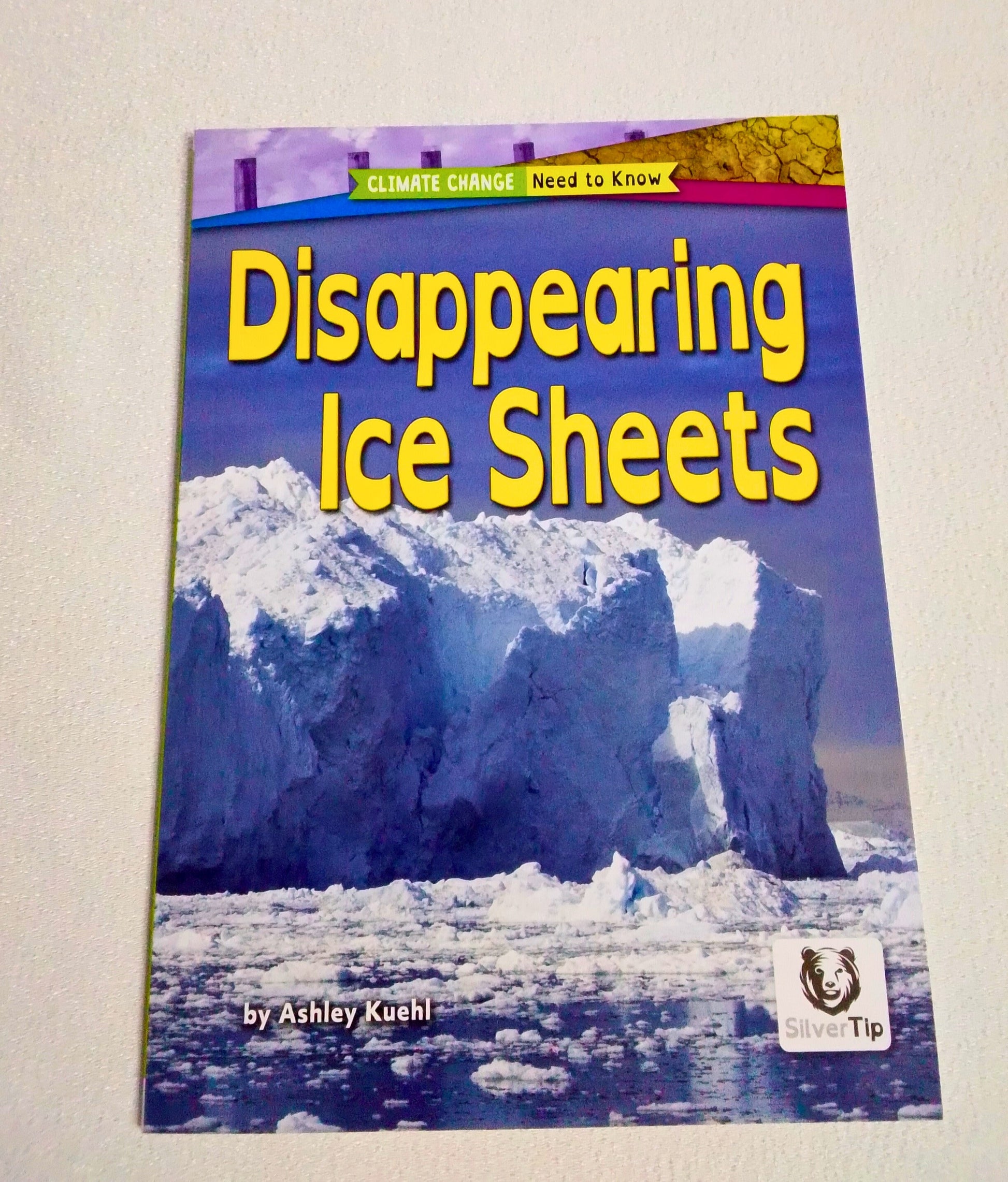 Book titled 'Disappearing Ice Sheets' on a plain background