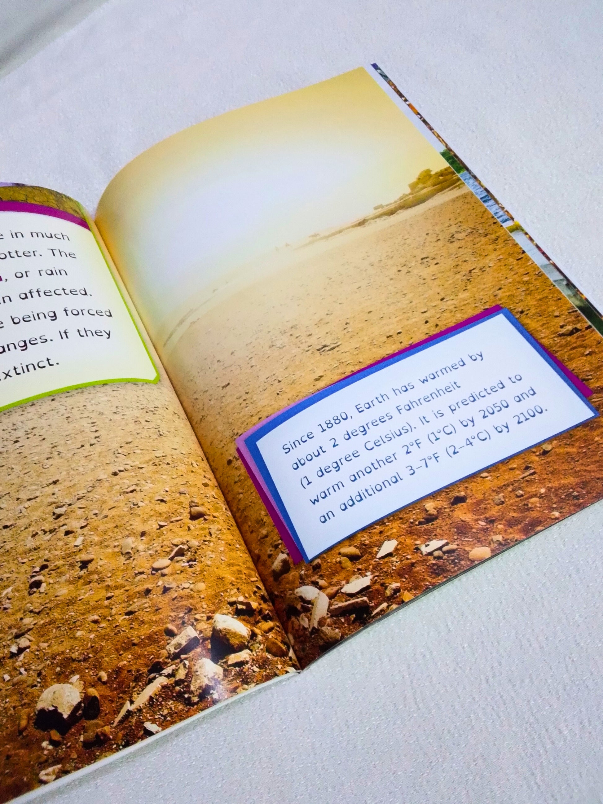 Open book with a desert landscape illustration and text overlay on a white background
