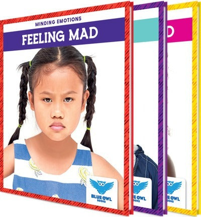 Book titled 'Feeling Mad' by Blue Owl Press with a child's face on the cover.