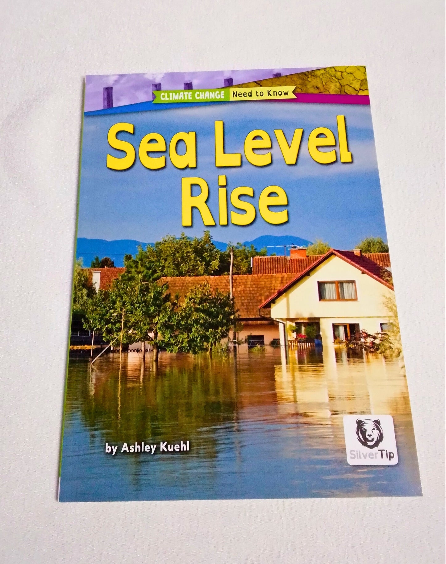 Book titled 'Sea Level Rise' by Ashley Kuehl on a white background